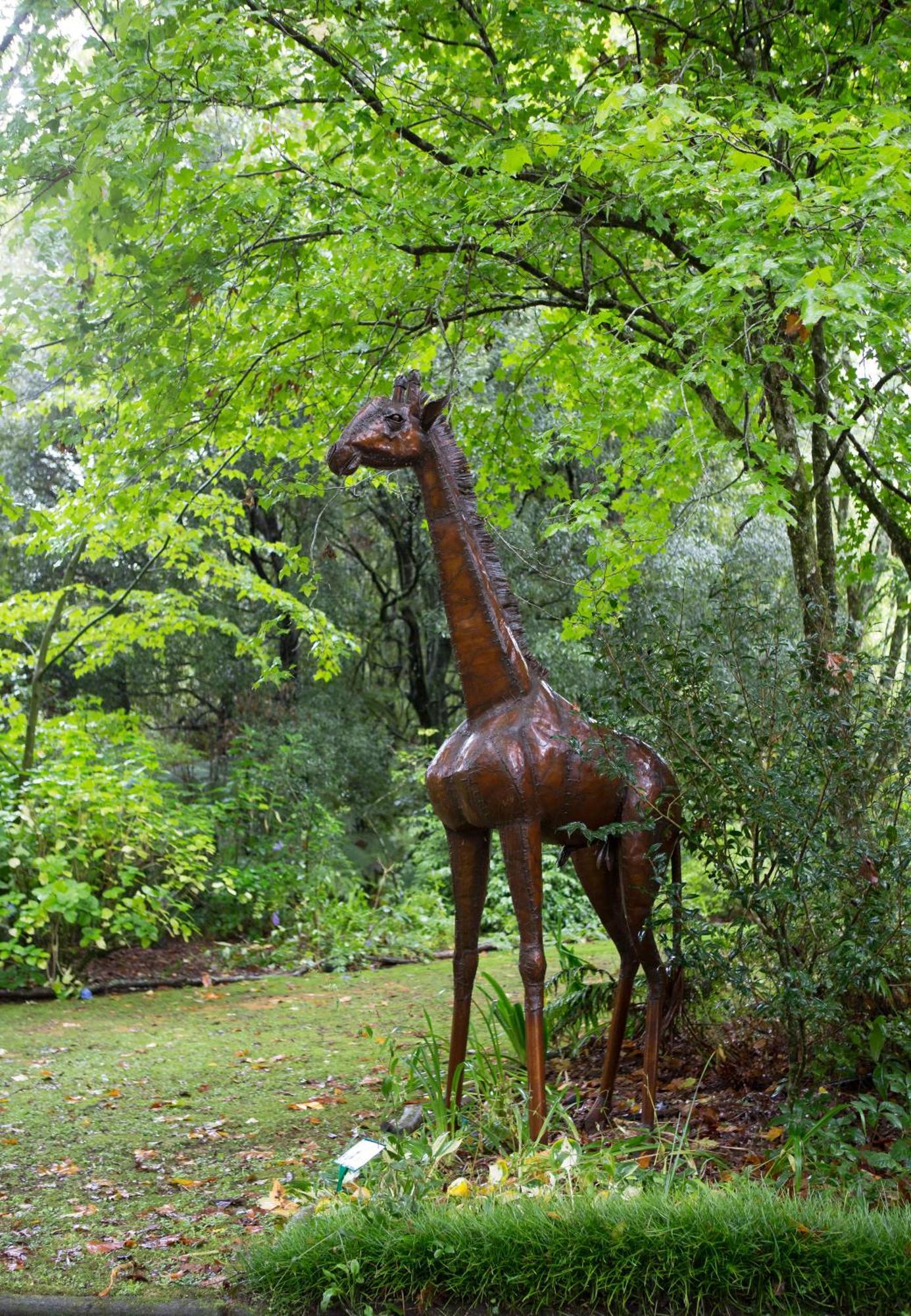 Villa Tepopo Gardens Rural Retreat à Stratford Extérieur photo