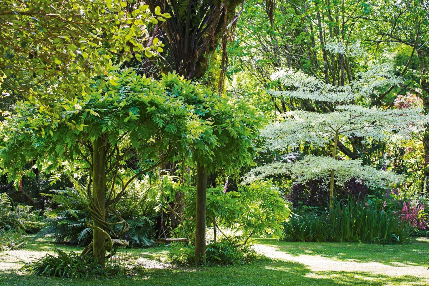 Villa Tepopo Gardens Rural Retreat à Stratford Extérieur photo