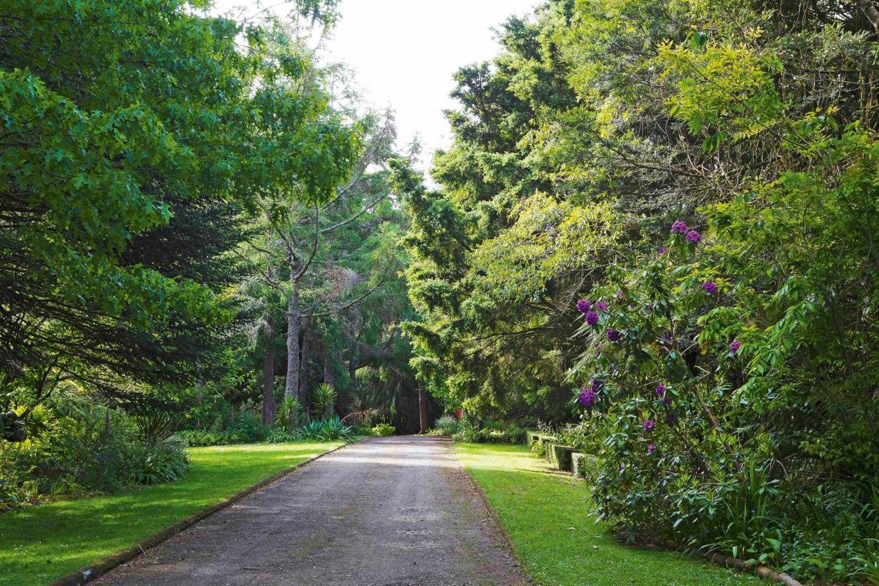 Villa Tepopo Gardens Rural Retreat à Stratford Extérieur photo