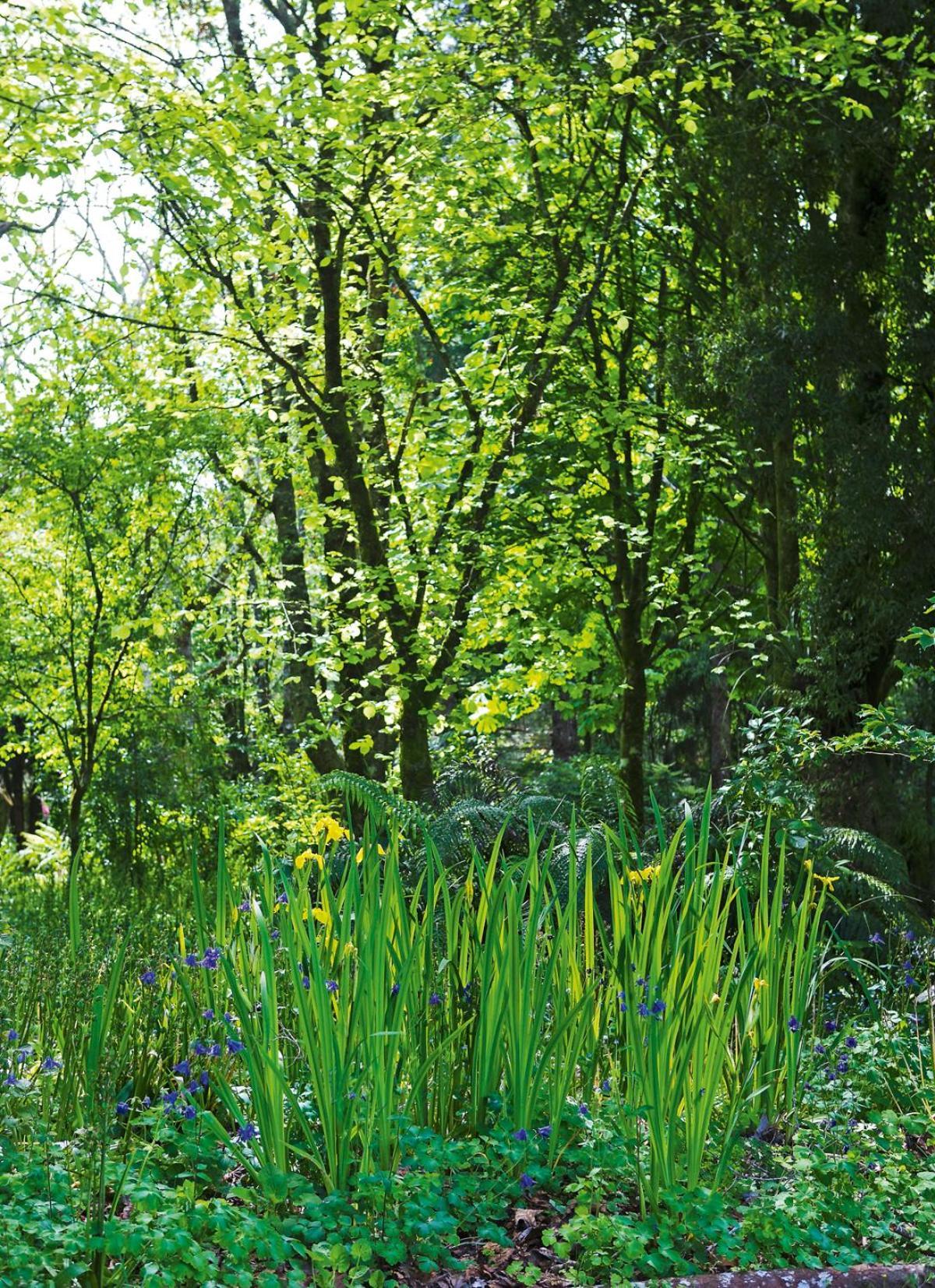 Villa Tepopo Gardens Rural Retreat à Stratford Extérieur photo