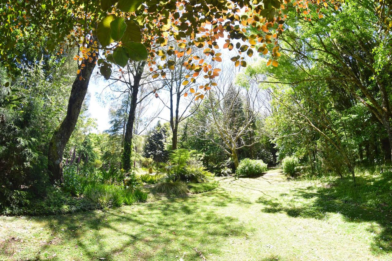 Villa Tepopo Gardens Rural Retreat à Stratford Extérieur photo