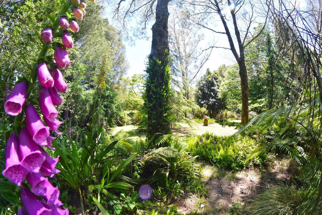 Villa Tepopo Gardens Rural Retreat à Stratford Extérieur photo